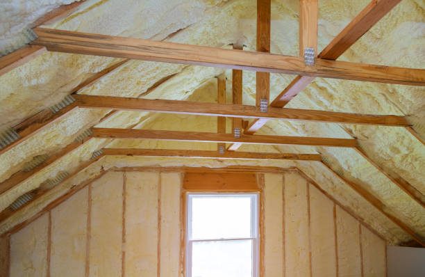 Best Eco-Friendly Insulation in Porter, IN